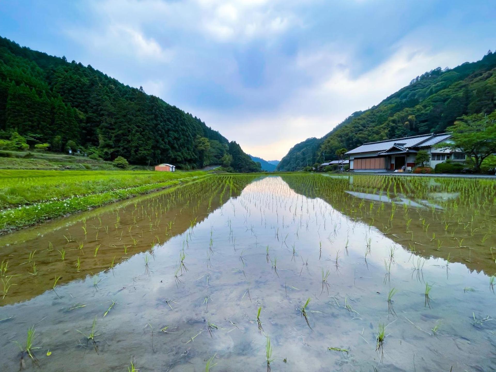 うきは市 うきは小塩の灯りヴィラ エクステリア 写真